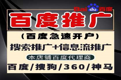 某公司通过SEM托管实现竞价推广的飞跃